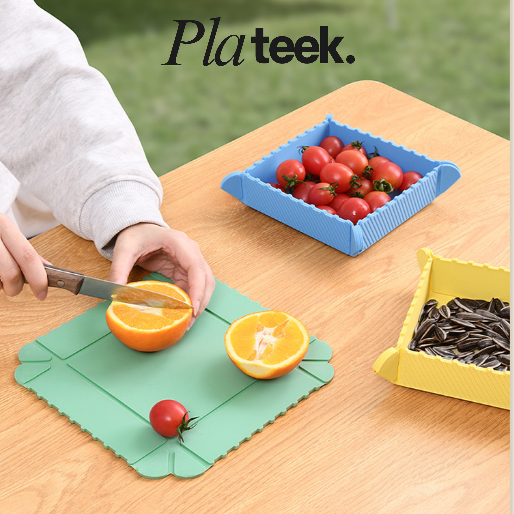 Plateek Magnetic Plate